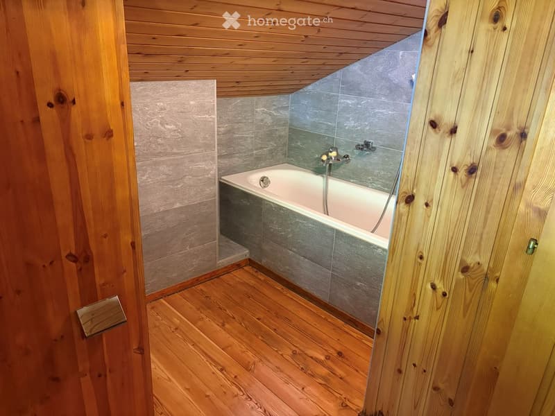 Chalet rustique avec vue panoramique sur les montagnes (5)