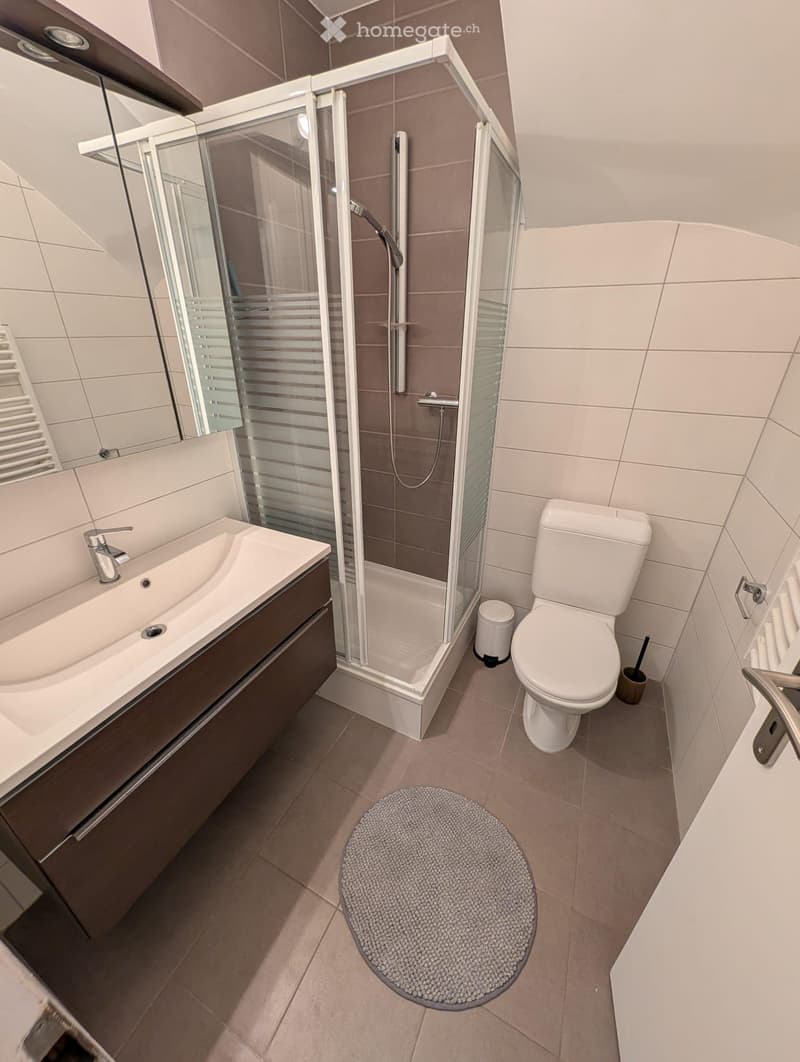 Appartement rénové, meublé 2 pièces avec terrasse à Bussigny (2)