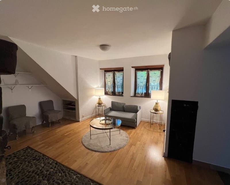 Appart caractère 150 m2 - jardin/vue partielle lac- 6-8 mois (9)