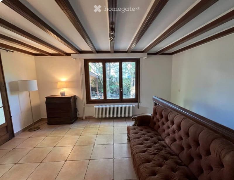 Appart caractère 150 m2 - jardin/vue partielle lac- 6-8 mois (3)