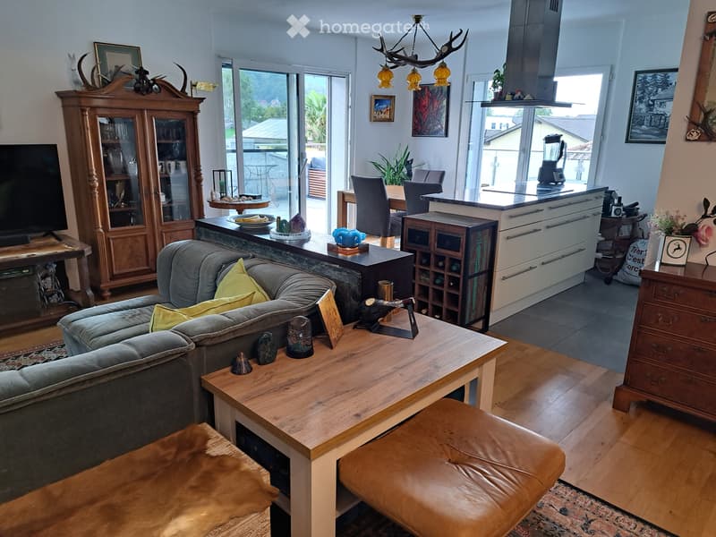 Magnifique appartement 4.5 pièces, grande terrasse de 35 m2 (1)
