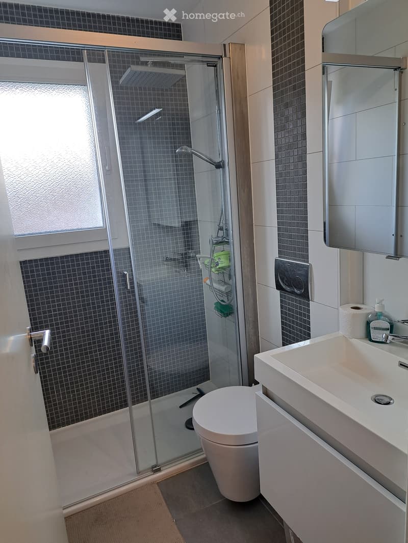 Magnifique appartement 4.5 pièces, grande terrasse de 35 m2 (2)