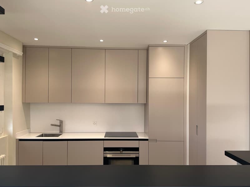 Luxueux appartement de 2,5 pces (2)