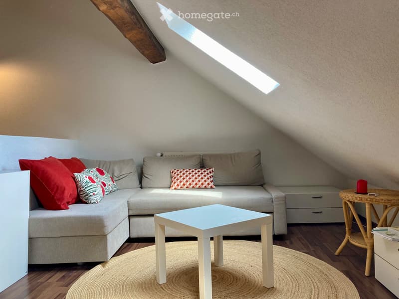 Appartement à louer en basse ville de Fribourg (3)