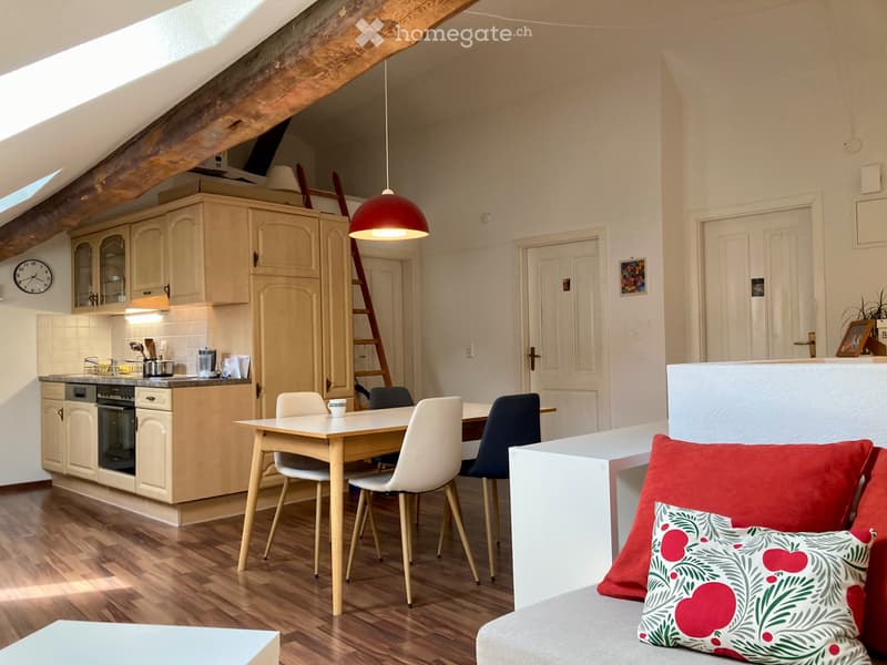 Appartement à louer en basse ville de Fribourg (1)