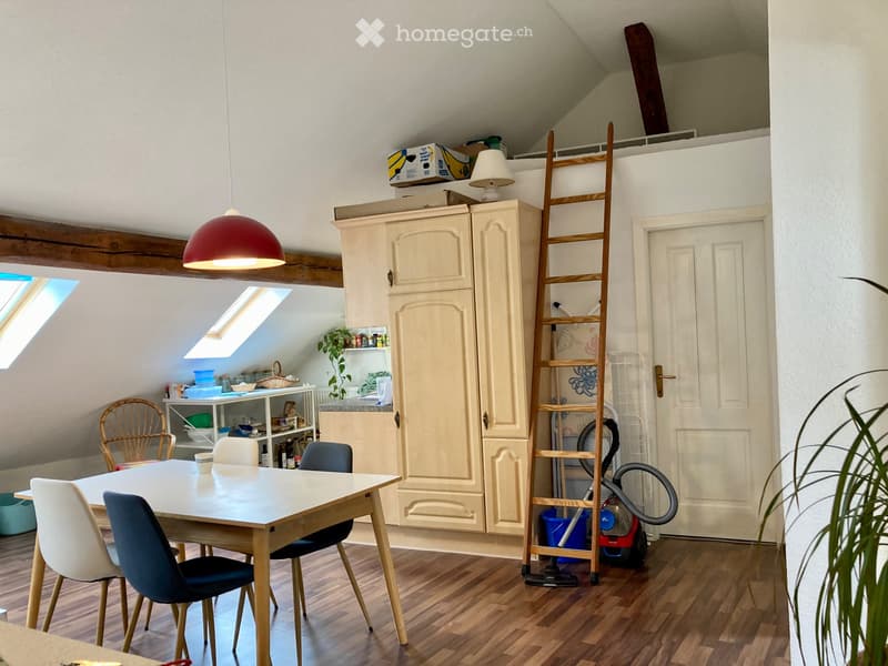 Appartement à louer en basse ville de Fribourg (2)