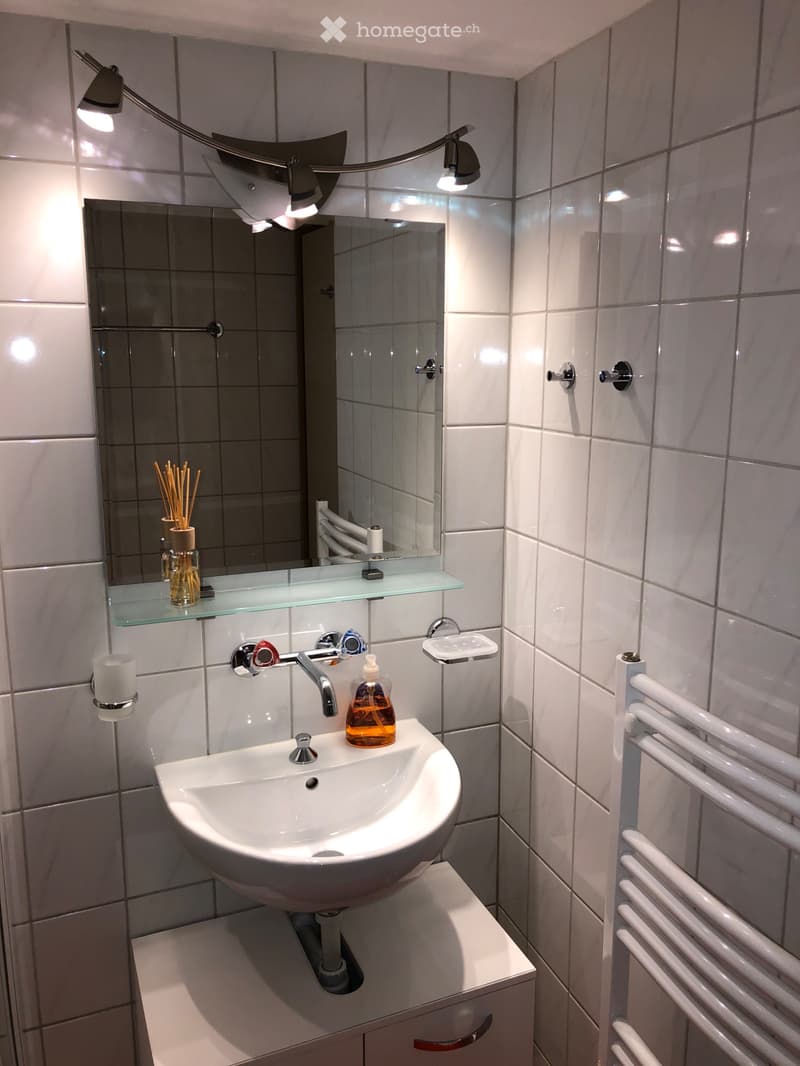 Möbliertes Studio im Zentrum von Interlaken (4)