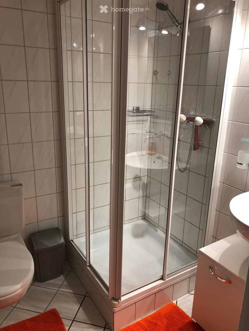 Möbliertes Studio im Zentrum von Interlaken (5)
