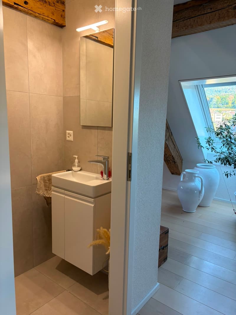Duplex avec place de parc (3)