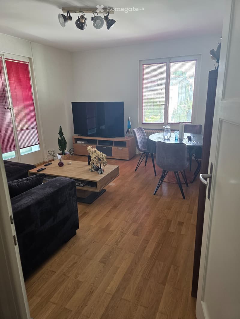 Appartement 2.5 Crissier (5)