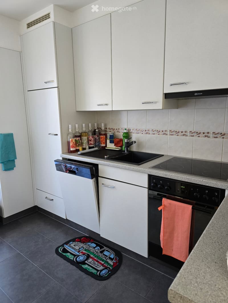 Appartement 3,5 pièces à louer (3)