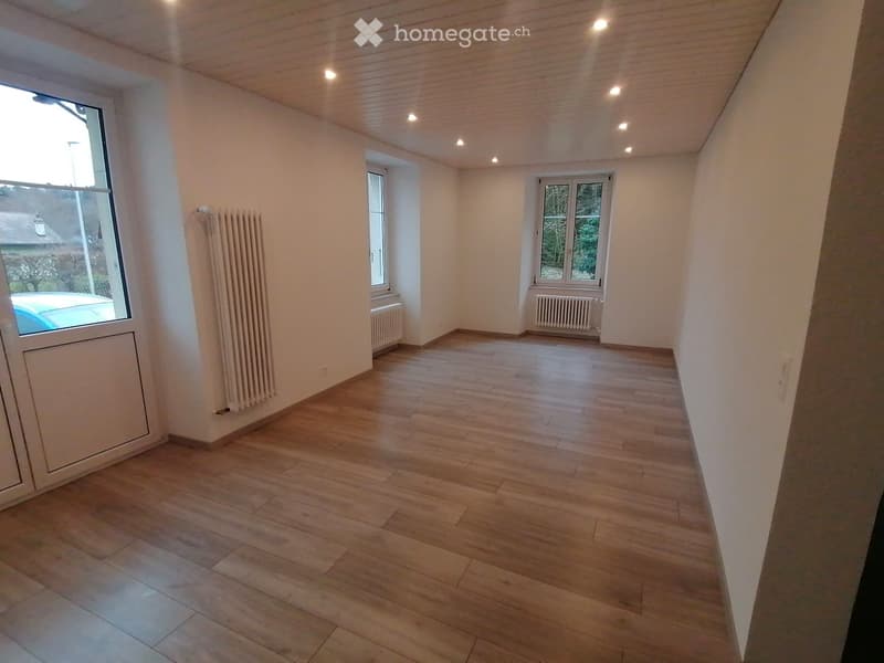 Appartement 3 1/2 pièces (1)