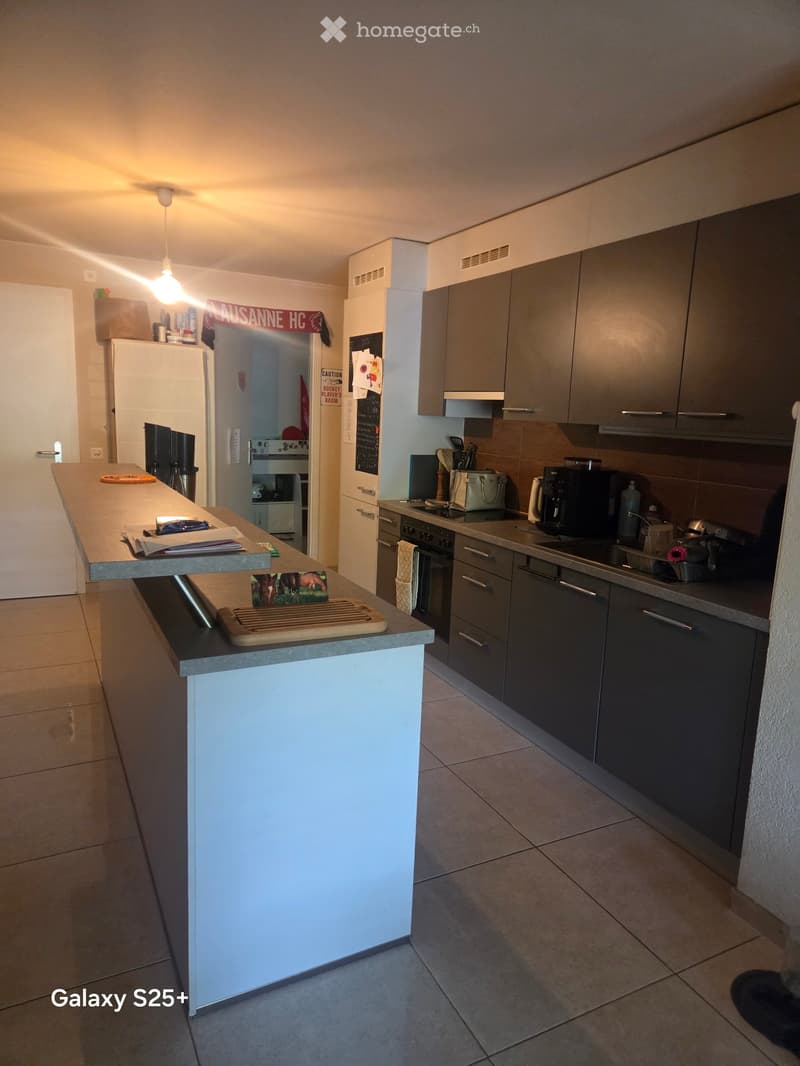Appartement avec terrasse (3)
