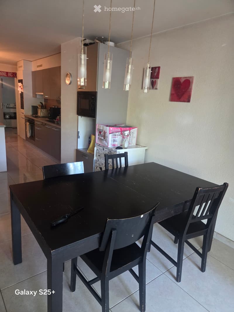 Appartement avec terrasse (4)