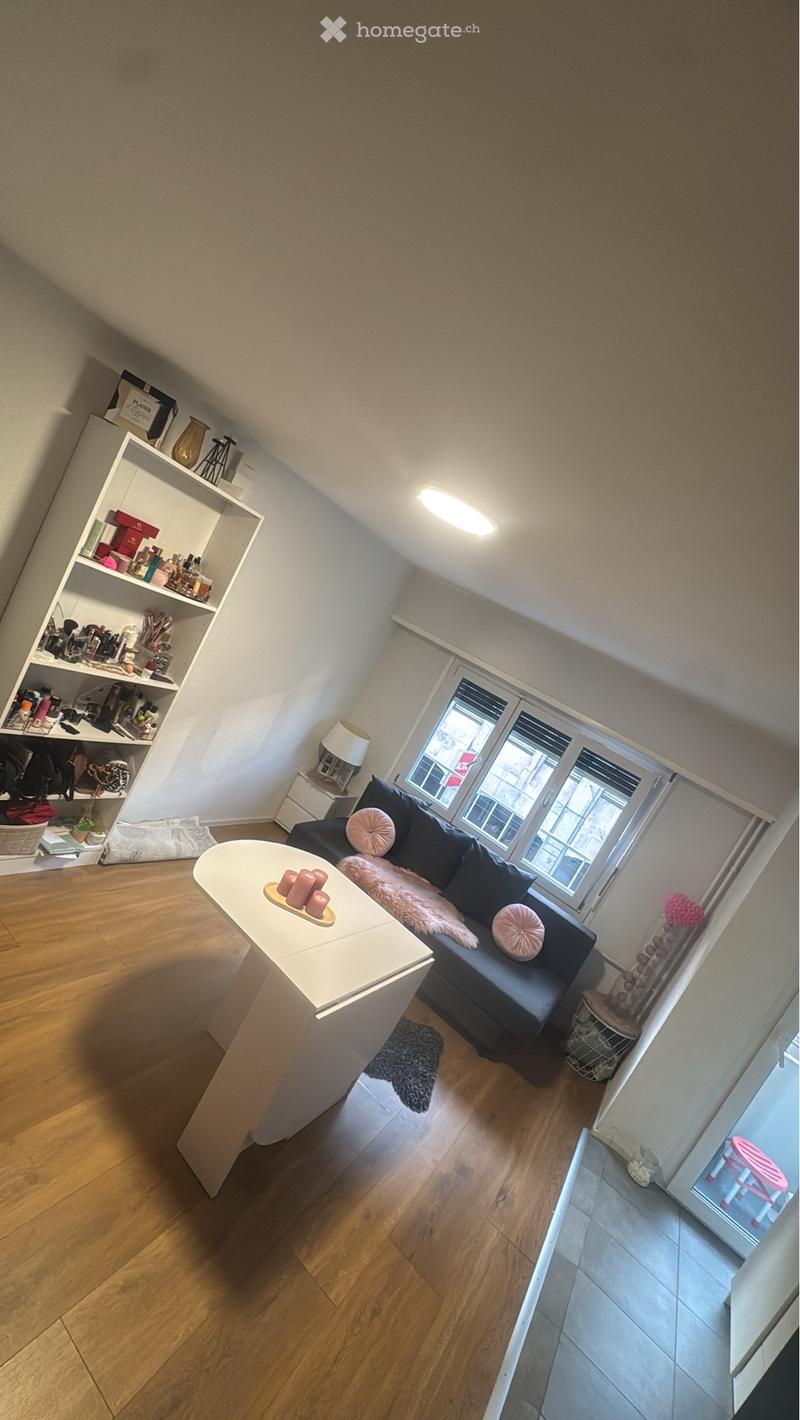 1,5 pièces en centre ville (5)