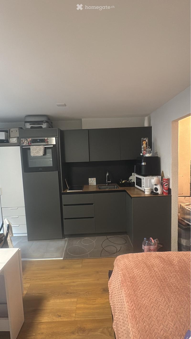 1,5 pièces en centre ville (2)