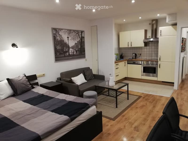Un joli appartement disponible à Fribourg (2)