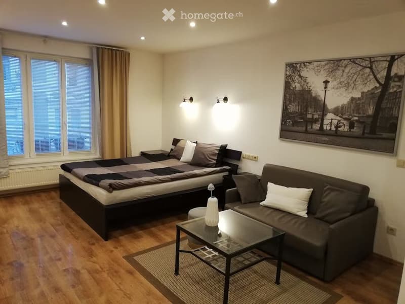Un joli appartement disponible à Fribourg (3)