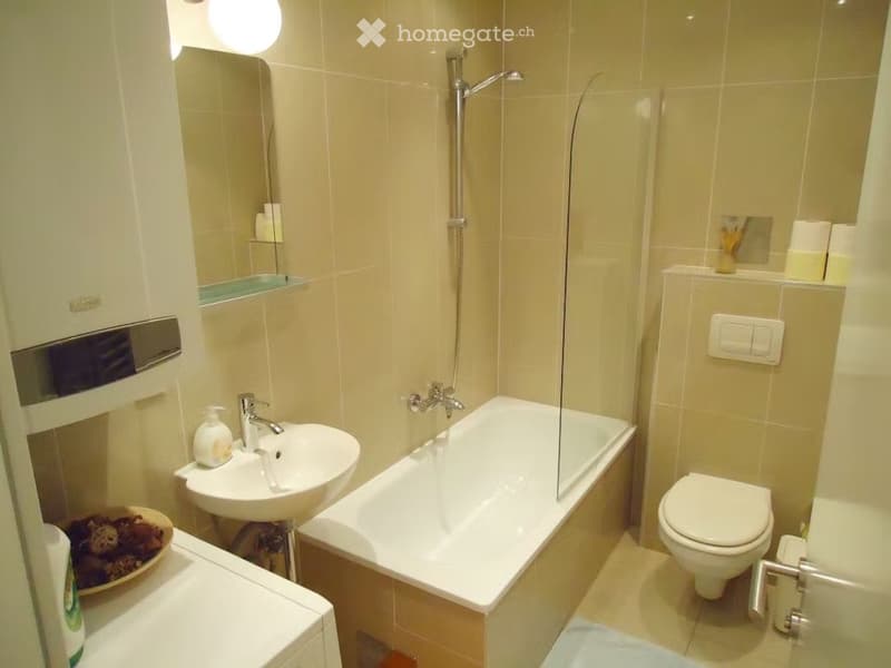 Un joli appartement disponible à Fribourg (4)