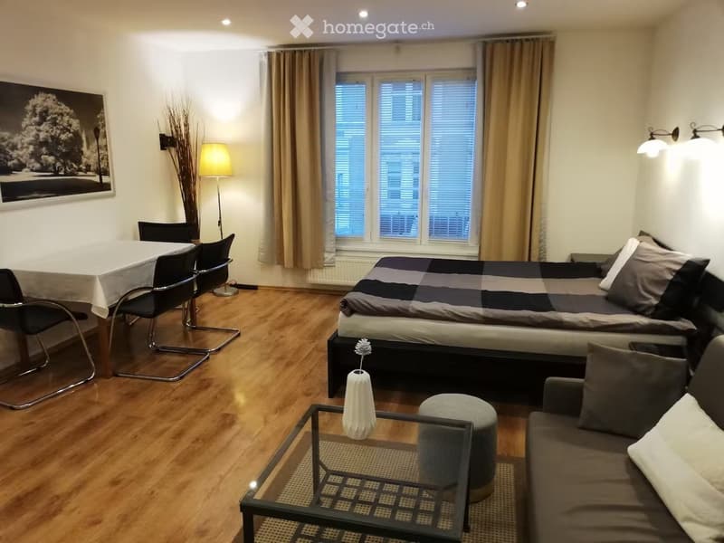 Un joli appartement disponible à Fribourg (1)