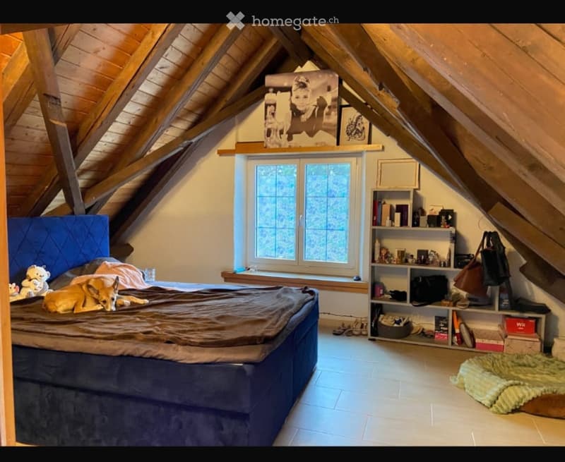 Ruhige Wohnung im Grünen (5)