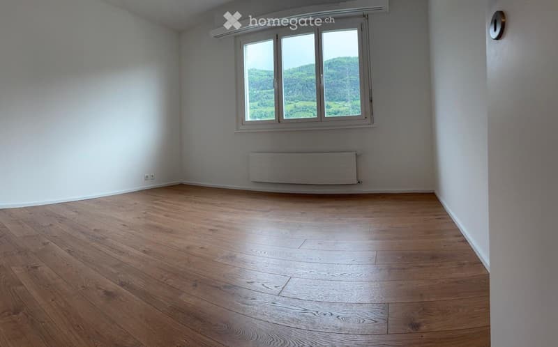 appartement 4,5 entiérement rènovè 1ere loc(place de park) (5)
