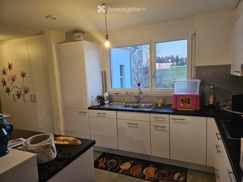 3.5 pièces avec vue imprenable (5)