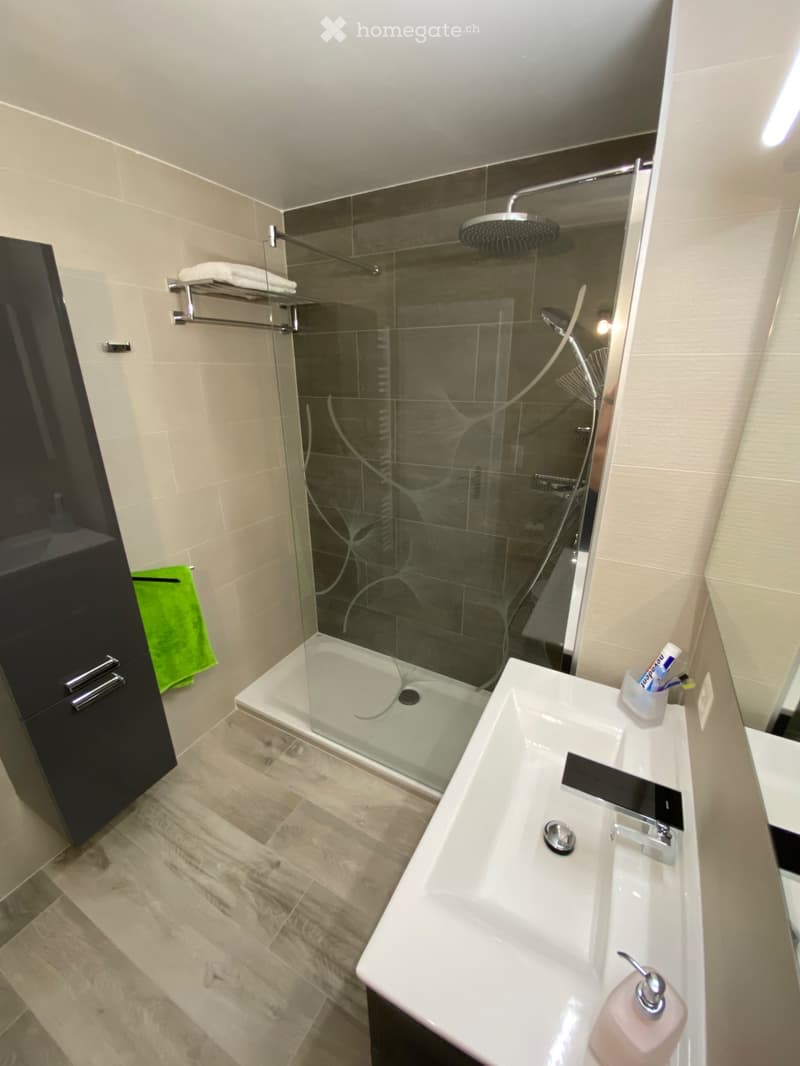 Super studio 1.5 pcs rénové, balcon, parking, Vue des Alpes (13)
