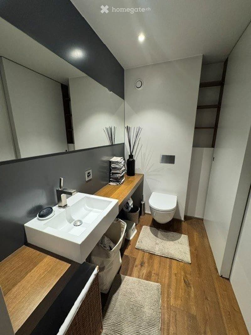 Vessy, Appartement de standing (4)