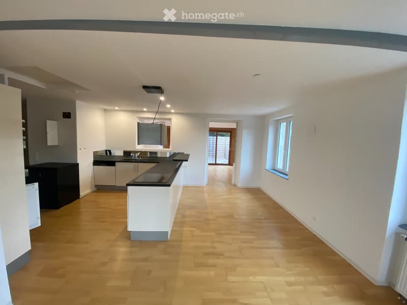 Appartement avec grande terrasse à louer (3)