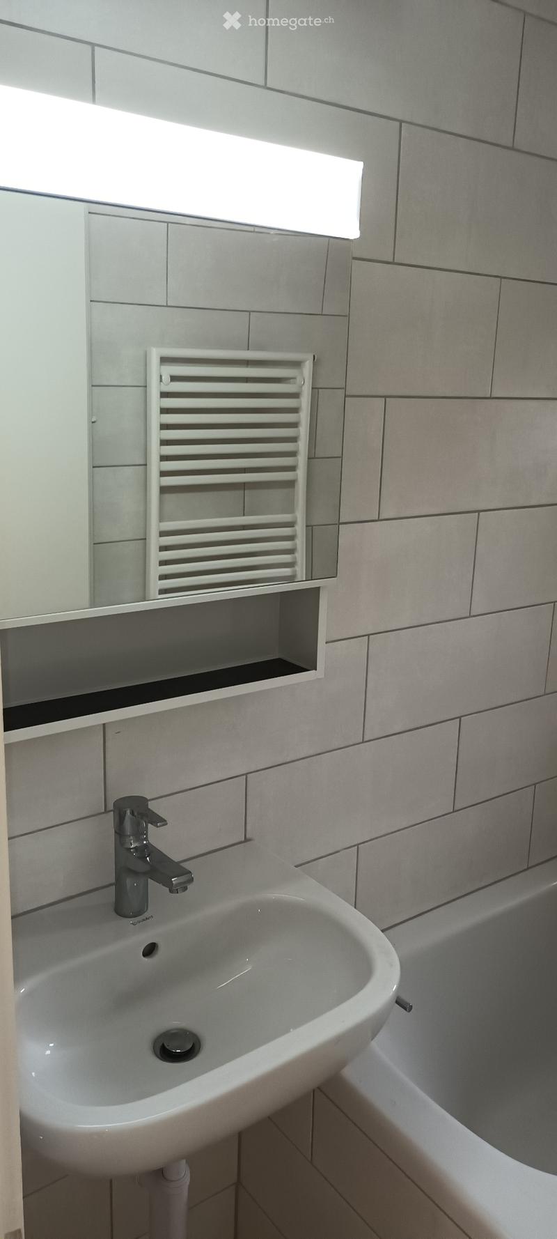 Appartement 3.5pcs rénové en 2023 (5)