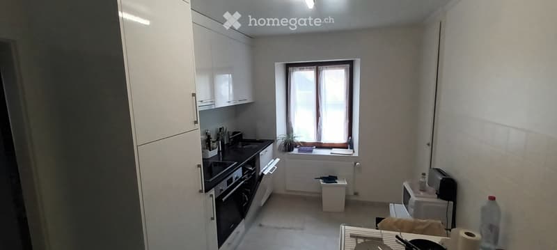 Appartement 3.5pcs rénové en 2023 (3)