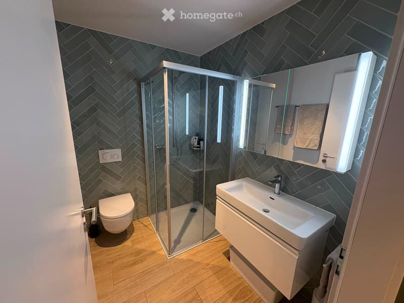 Magnifique 3.5 pièces avec terrasse 36m² et vue Mont-Blanc (5)