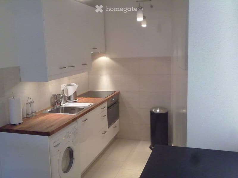 Eaux Vives Large Studio 1 Block from Lake (1)