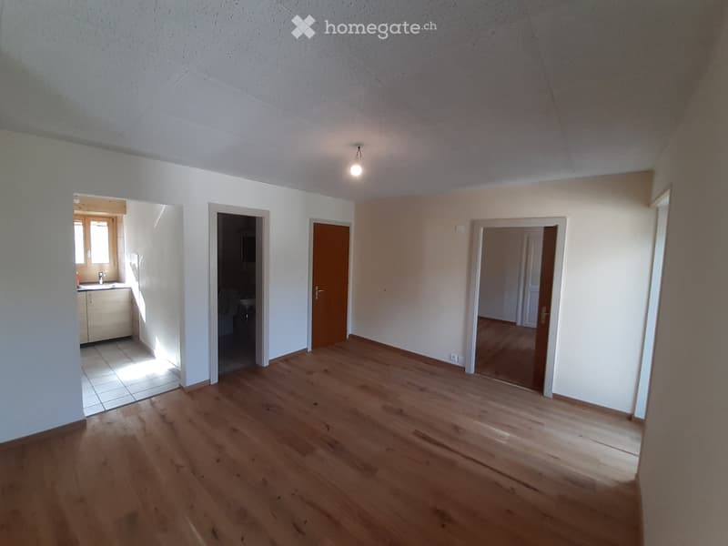 Appartement 2.5 pièce à louer à Vex (4)