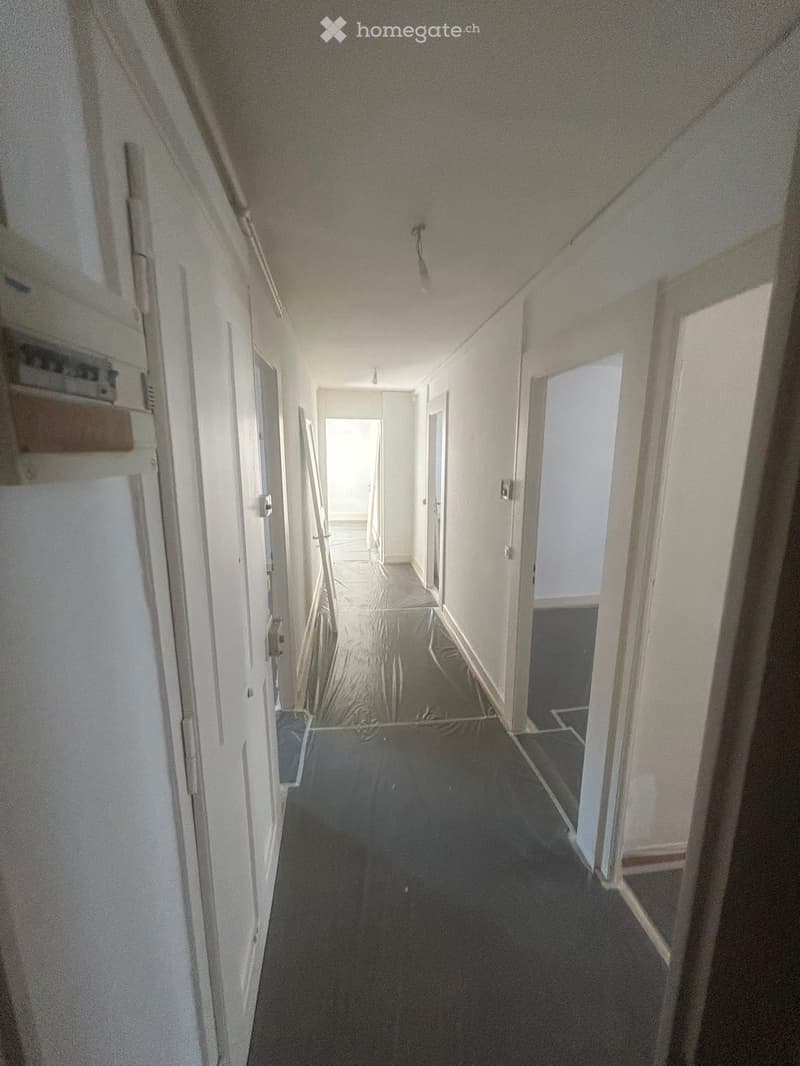 URGENT 5 pièces neuf Plainpalais (2)