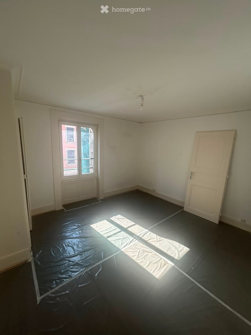 URGENT 5 pièces neuf Plainpalais (3)