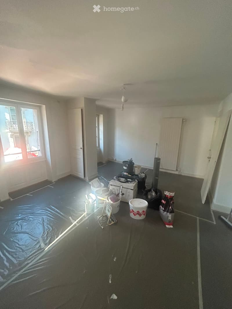 URGENT 5 pièces neuf Plainpalais (5)