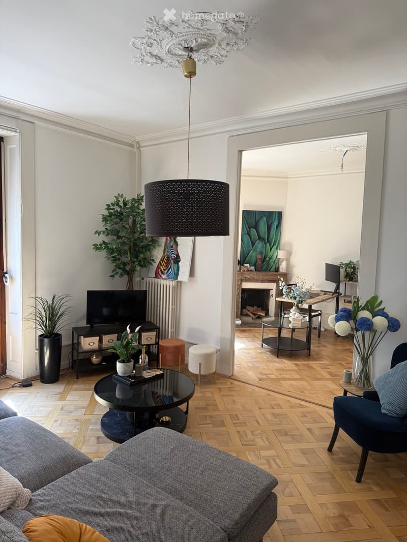 Splendide appartement 80m2 rénové dans centre de Genève (2)