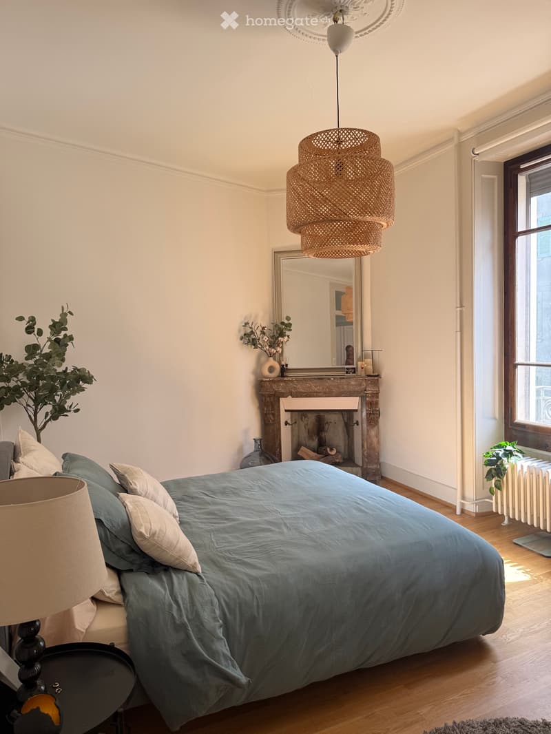 Splendide appartement 80m2 rénové dans centre de Genève (3)