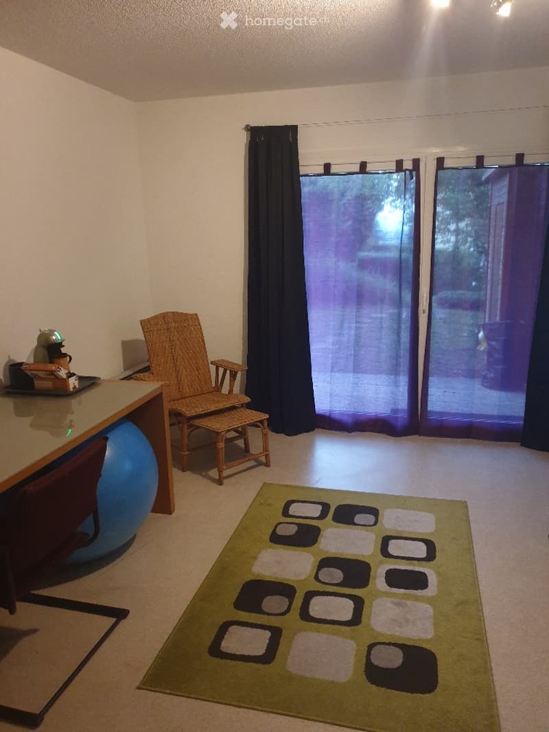 Petit appart. 1p meublé, pied-à-terre du lundi au vendredi (2)
