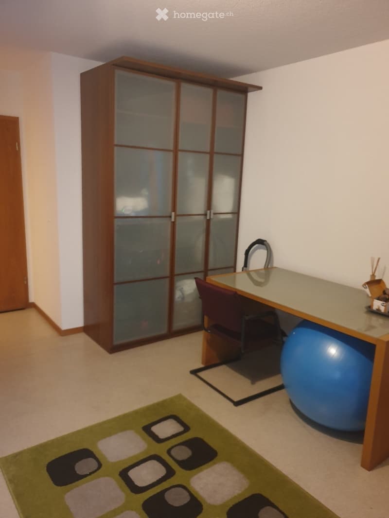 Petit appart. 1p meublé, pied-à-terre du lundi au vendredi (5)