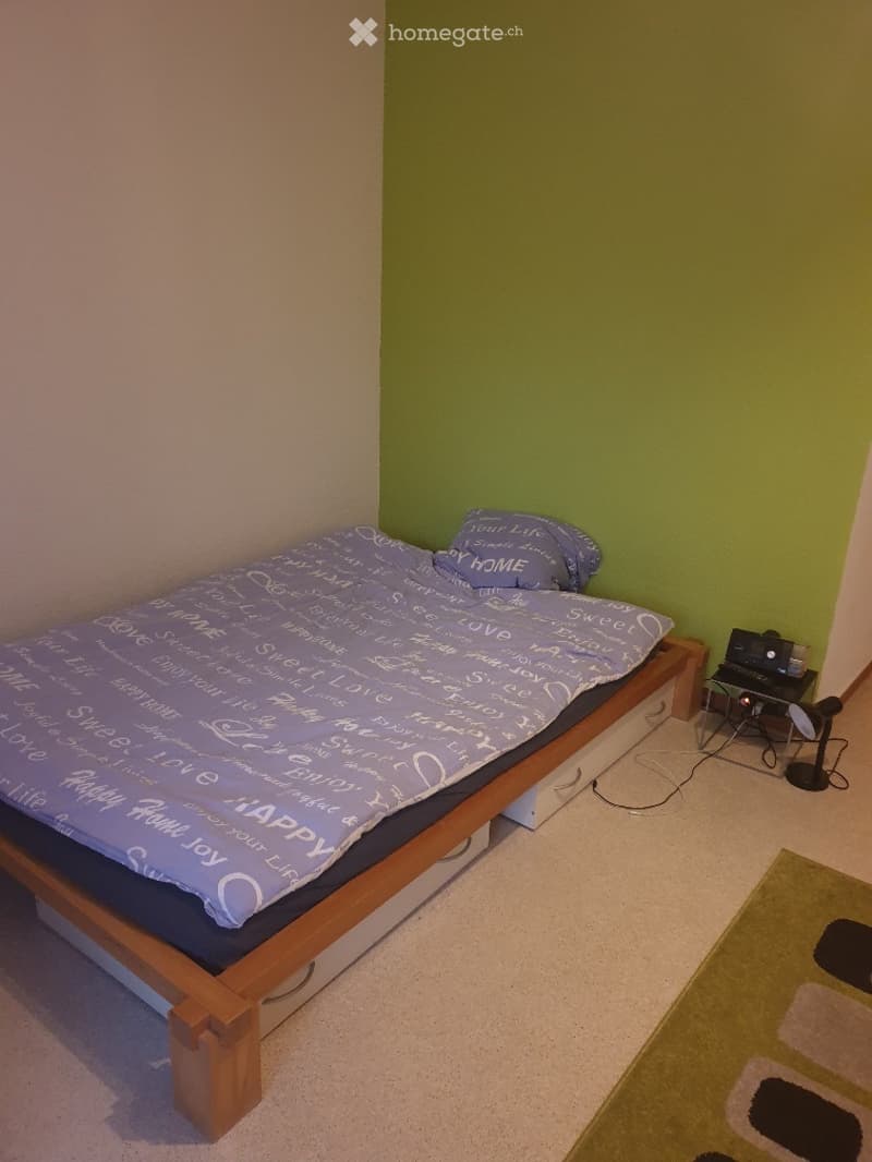 Petit appart. 1p meublé, pied-à-terre du lundi au vendredi (3)