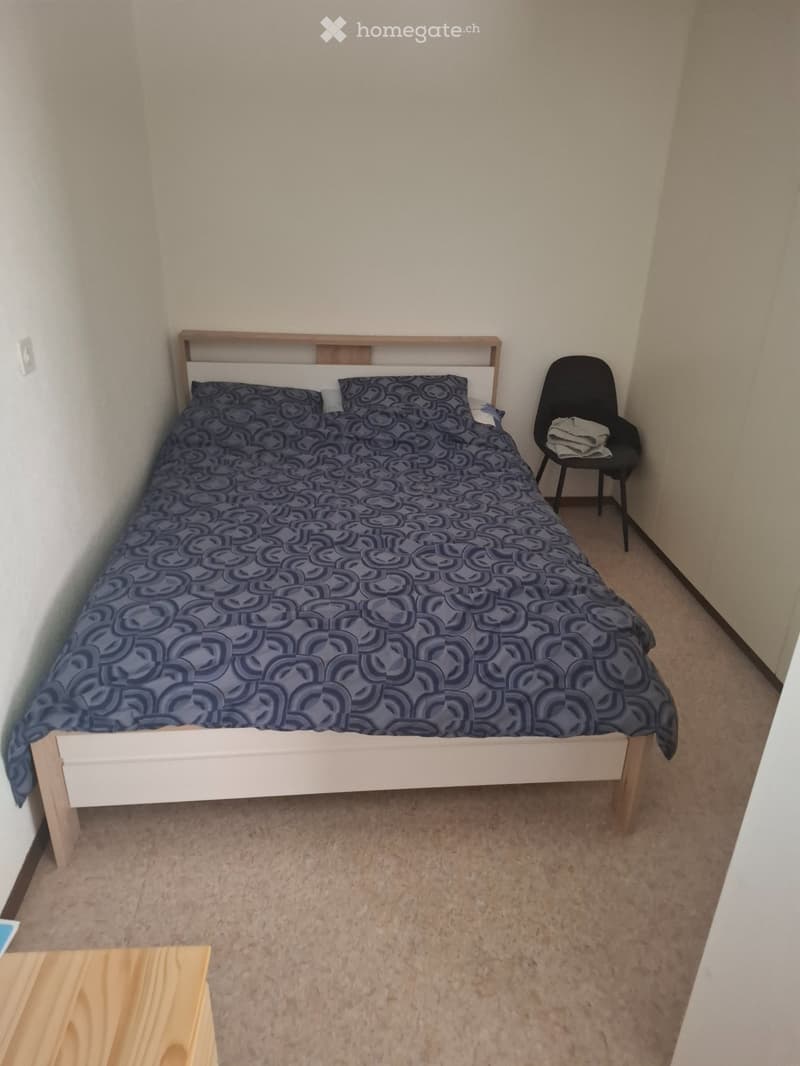 appartement à louer 1.5 pièces (3)