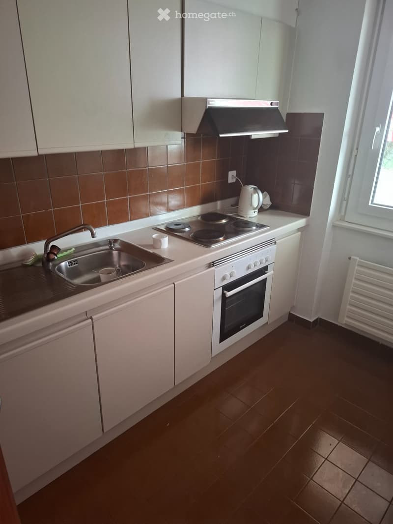 appartement à louer 1.5 pièces (1)