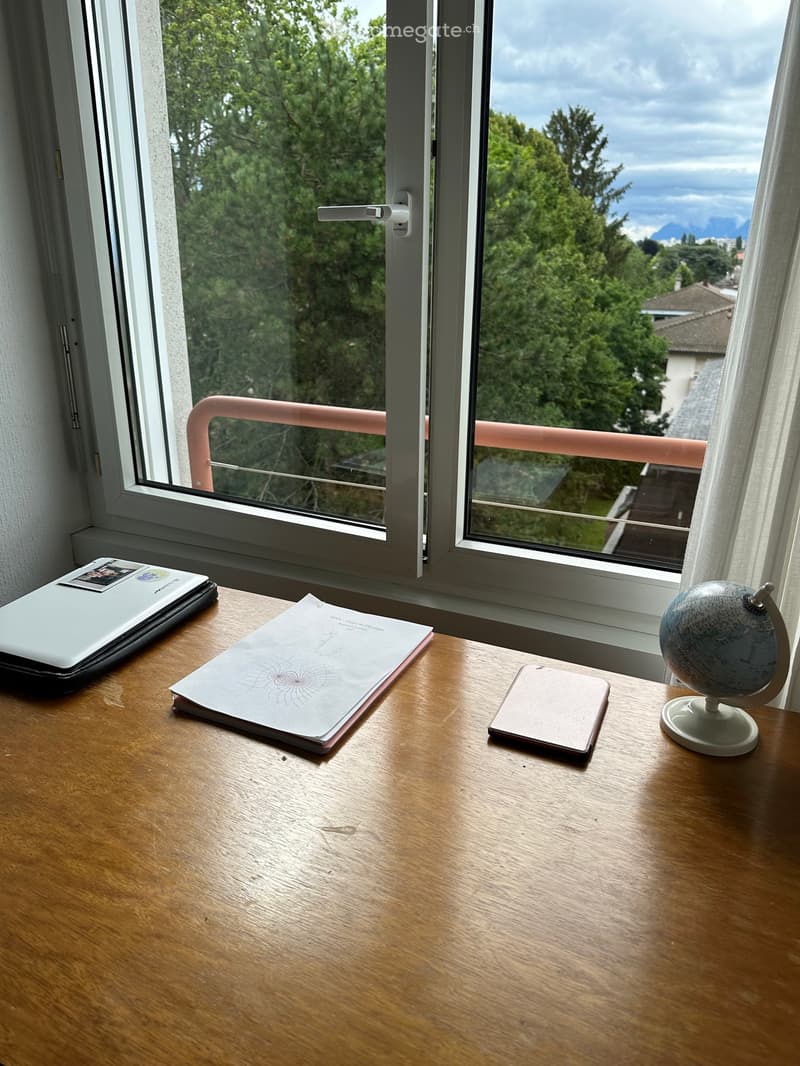 Chambre à louer à Renens (3)