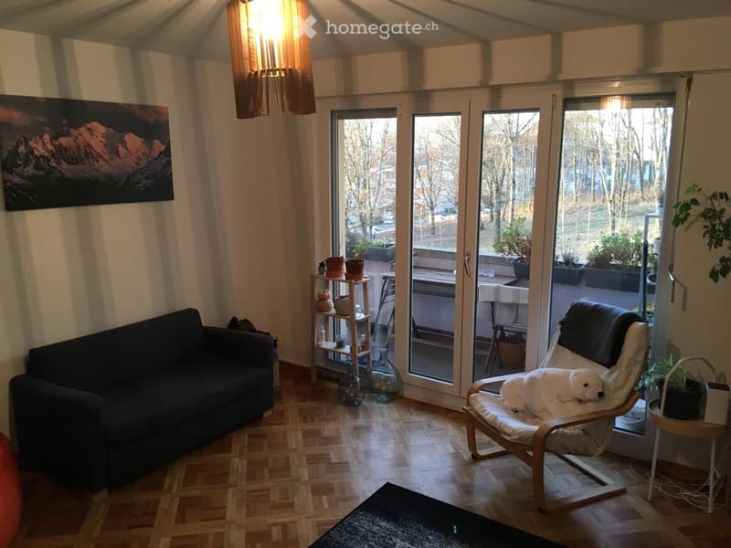 Jolie appartement lumineuse au avec vue sur les montagnes (3)