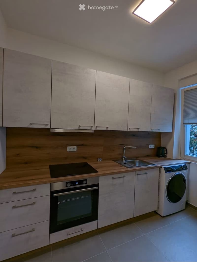 Wohnung 2-Zimmer mit Parterre im Höngg (4)