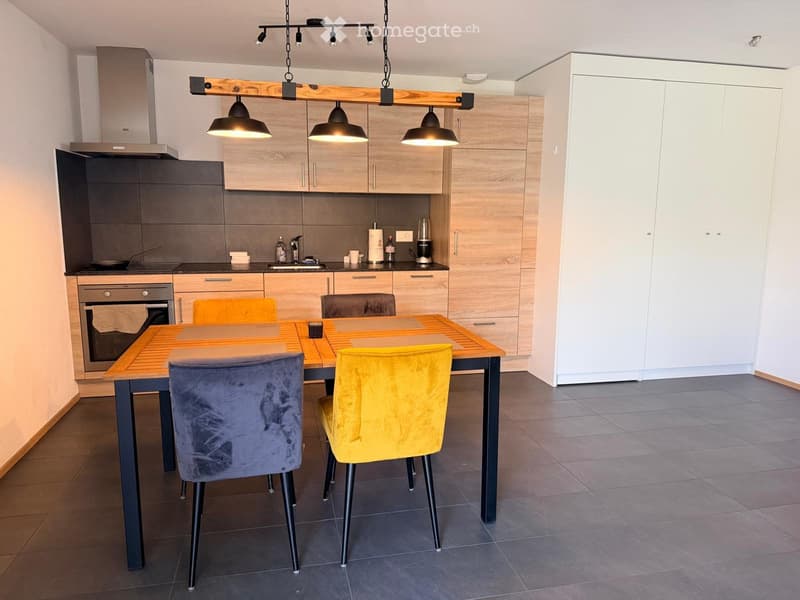 Appartement moderne avec terrasse privée Reprise de bail (1)