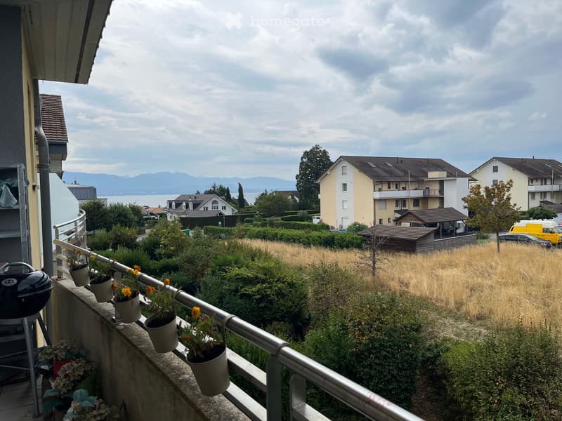 3.5 pièces dans quartier familial (1)